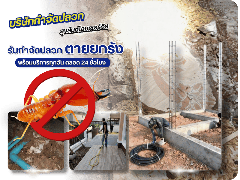 บริษัทกำจัดปลวก อุดรธานี